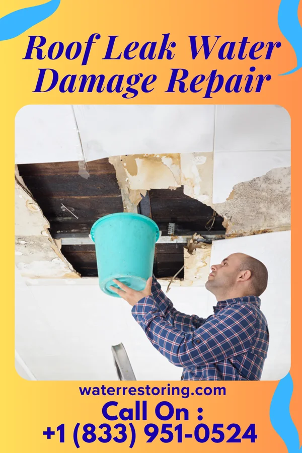 Roof Leak Water Damage Repair in Lonsdale, AR